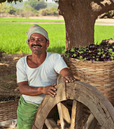 Bio fertilizers in Coimbatore